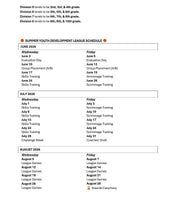 Load image into Gallery viewer, Summer 2026 Youth Development League
